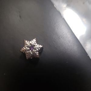 Original Pugster brand charm